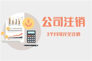 為何小規模代理記賬月費僅100元，武漢中小企業的明智之選